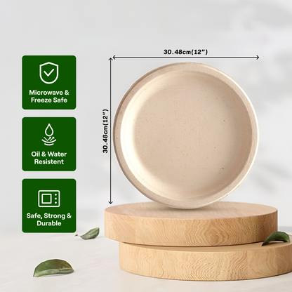 EcoKranti 12-Inch Bagasse Disposable Plates