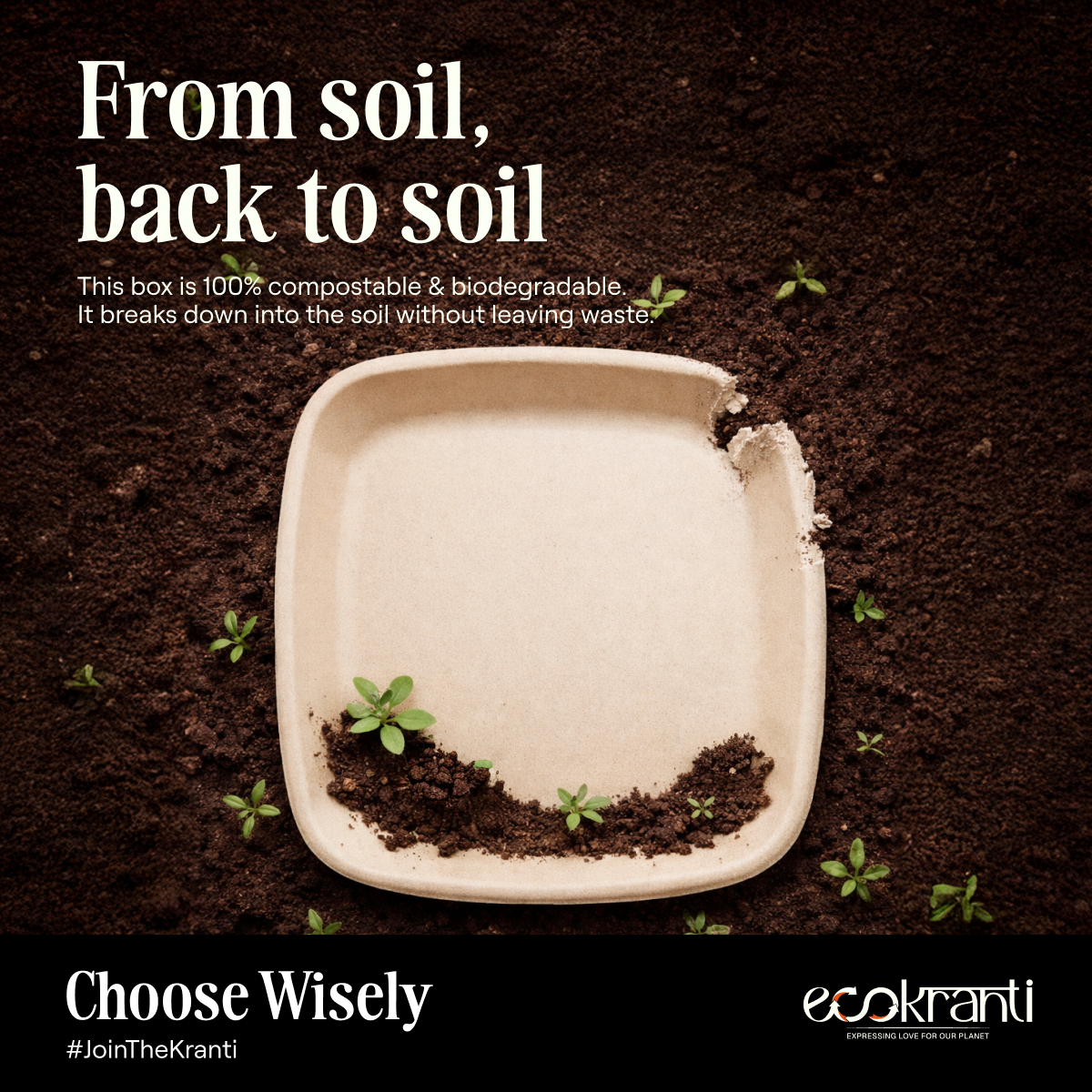 EcoKranti 6-Inch Bagasse Square Plates