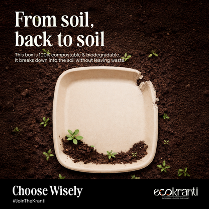 EcoKranti 6-Inch Bagasse Square Plates