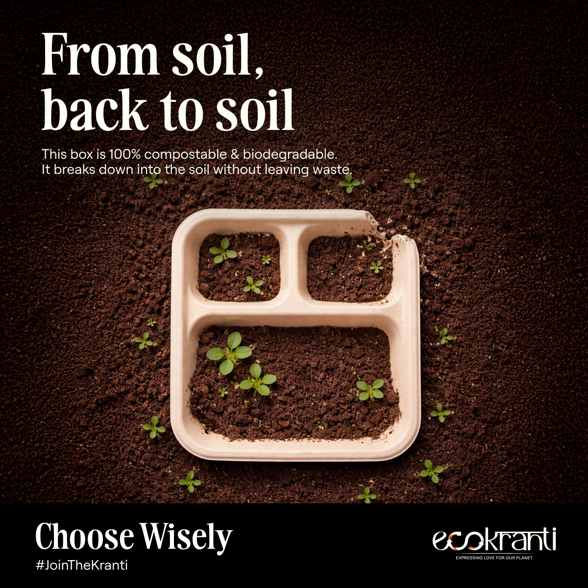 EcoKranti 3-Compartment Bagasse Meal Tray