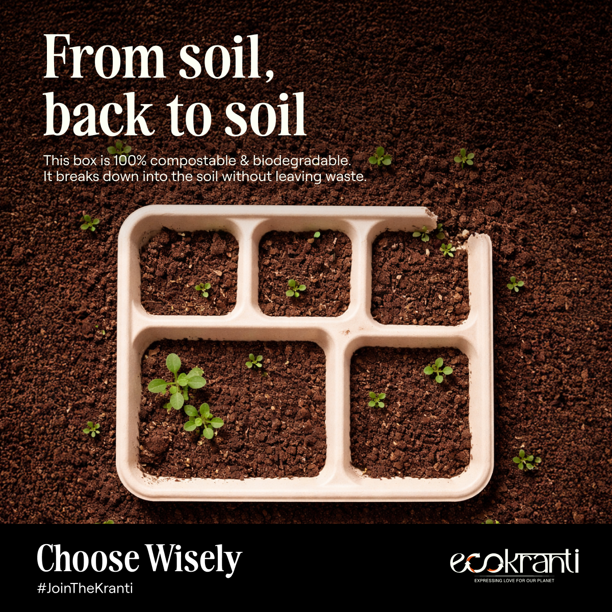 EcoKranti 5-Compartment Bagasse Meal Tray
