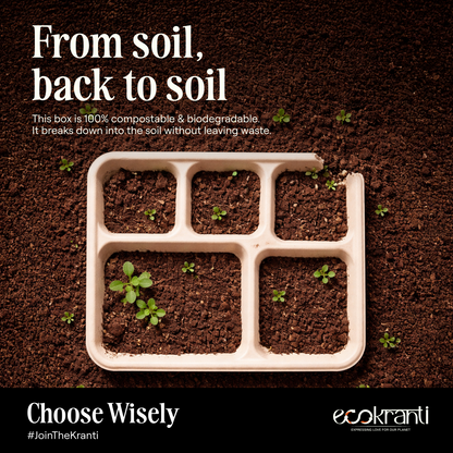 EcoKranti 5-Compartment Bagasse Meal Tray