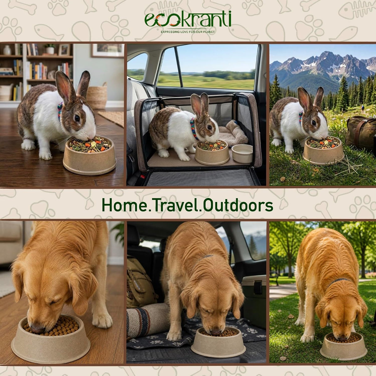 EcoKranti Bagasse Pet Food Bowls