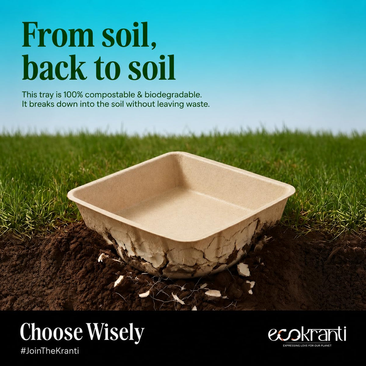 EcoKranti Bagasse Cat Litter Tray
